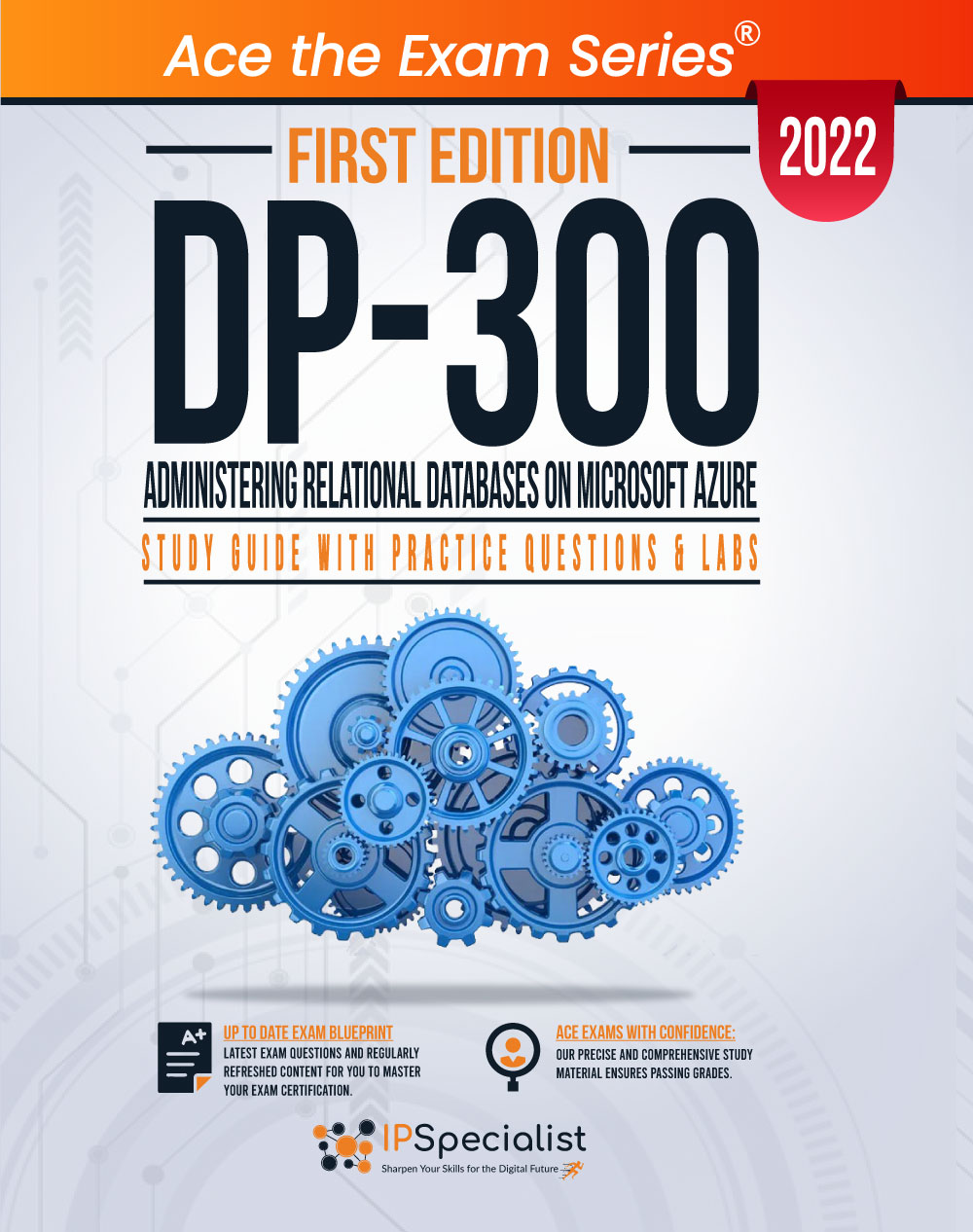 DP-100 Online Praxisprüfung - DP-100 Zertifikatsfragen, DP-100 Kostenlos Downloden