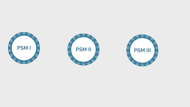 PSM-I Deutsch, Scrum PSM-I Praxisprüfung & PSM-I PDF Testsoftware