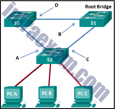 IN101_V7 PDF Testsoftware, IN101_V7 Vorbereitungsfragen & IN101_V7 Vorbereitung