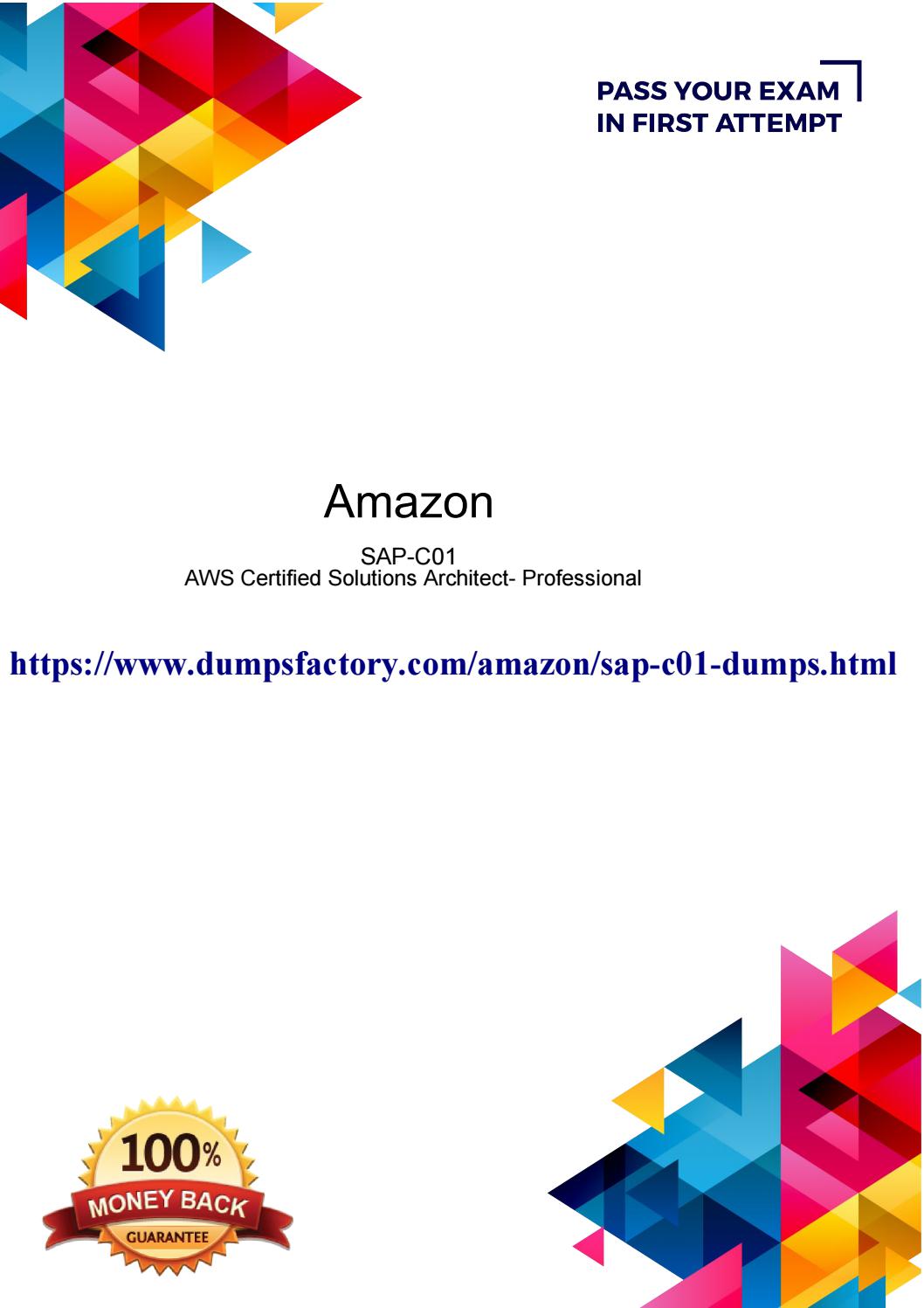 Amazon ANS-C01 Online Praxisprüfung & ANS-C01 Testengine