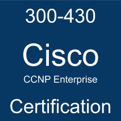 Cisco 350-601 Online Prüfungen, 350-601 Demotesten & 350-601 Prüfungsunterlagen