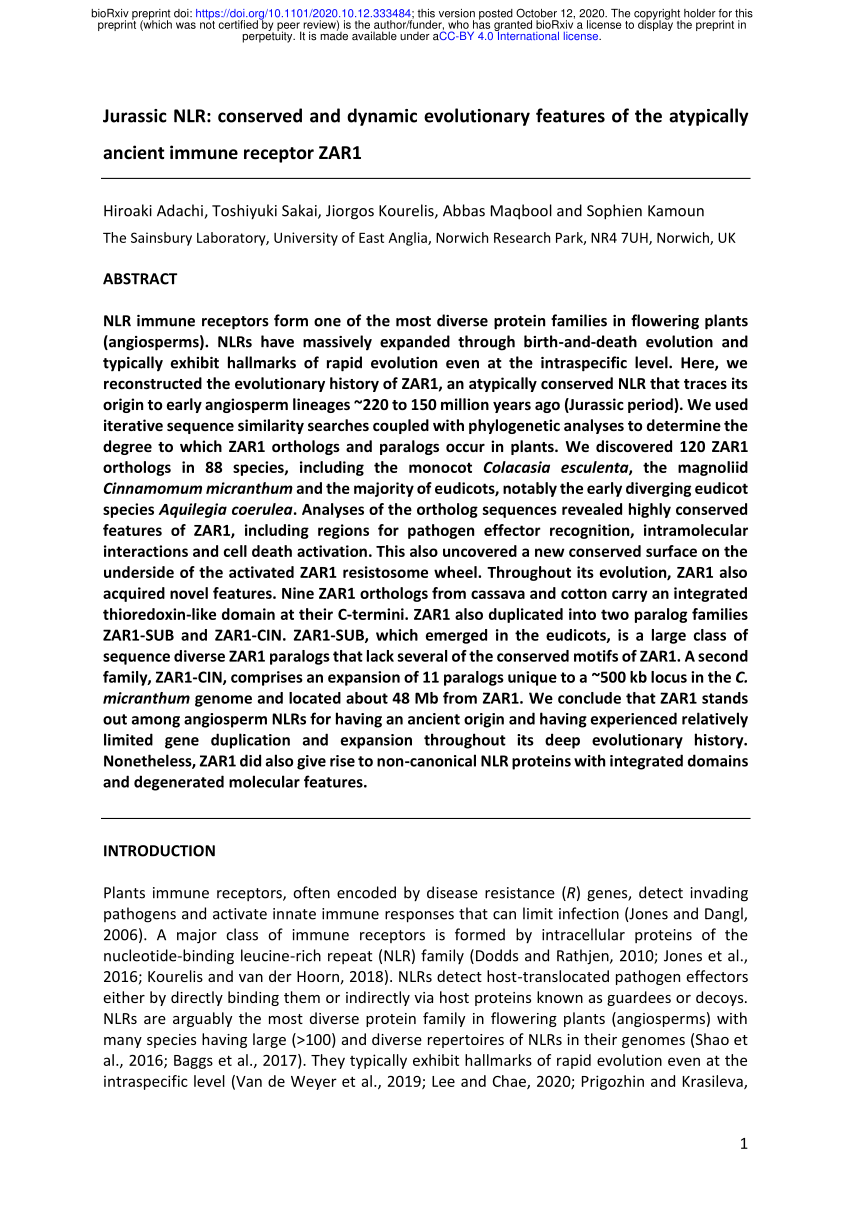 220-1101 PDF Testsoftware & 220-1101 Testantworten - 220-1101 Prüfungsvorbereitung