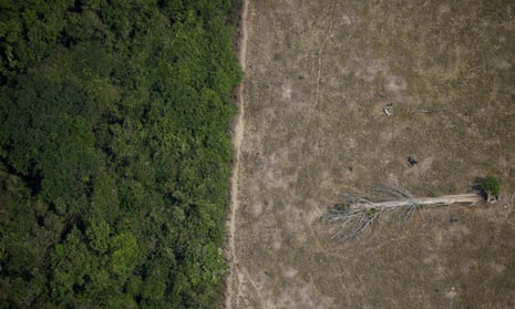 Amazon DOP-C02 Unterlage - DOP-C02 Prüfung, DOP-C02 Prüfungsmaterialien