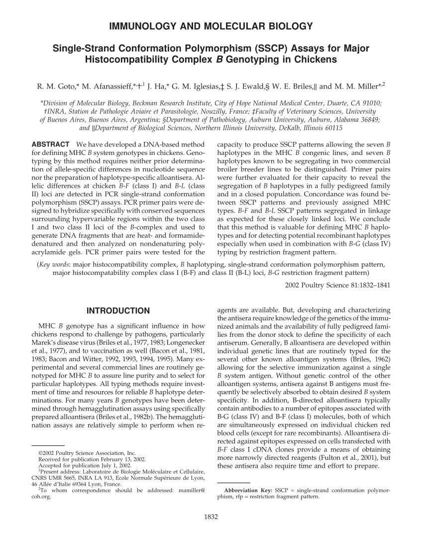 SSCP PDF Demo & SSCP Prüfungs - SSCP Vorbereitungsfragen