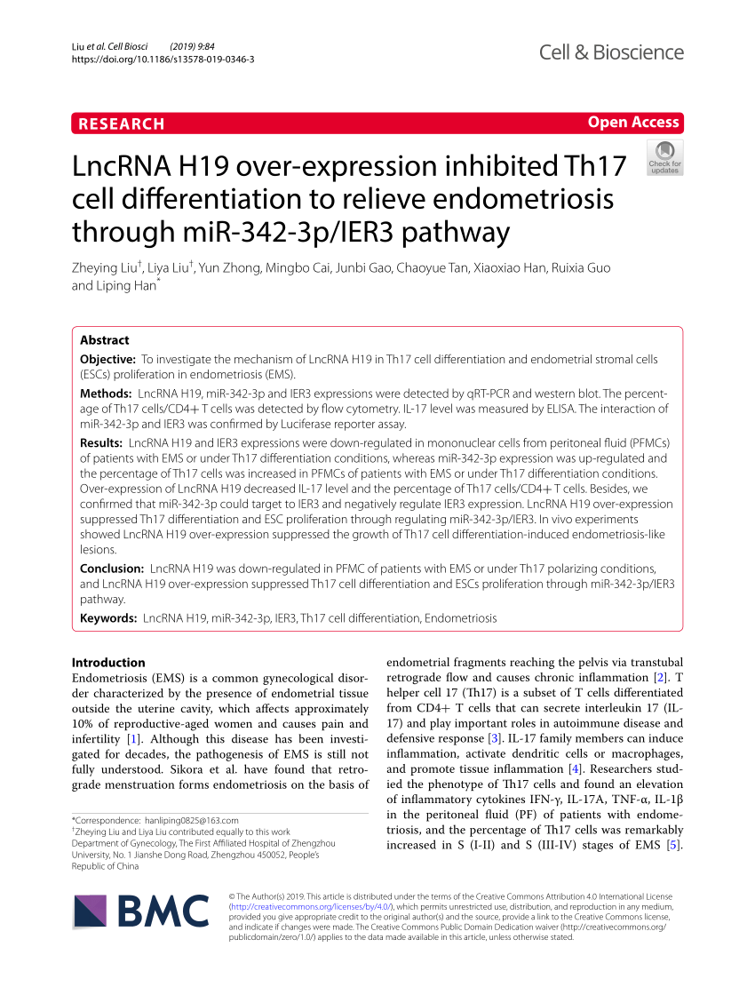 H19-338 Prüfungsfrage & Huawei H19-338 Lerntipps - H19-338 Probesfragen