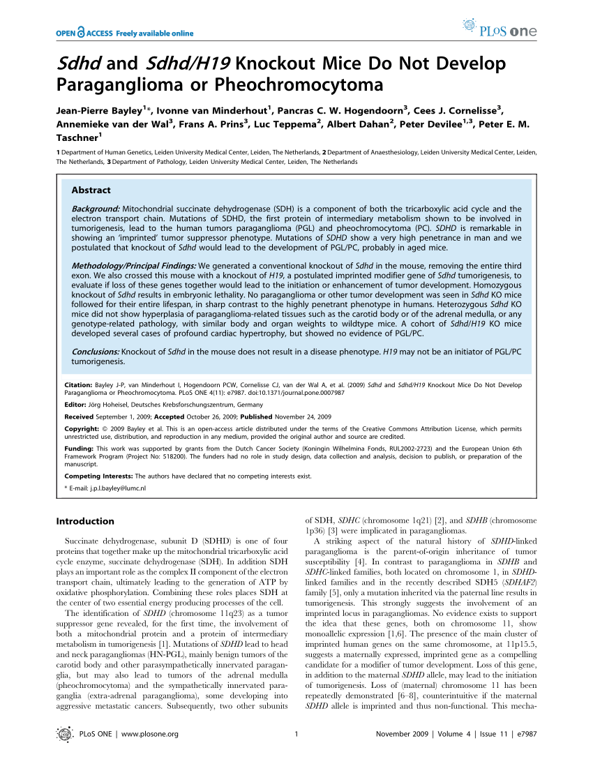 H19-315-ENU Prüfungsmaterialien & H19-315-ENU Examengine - HCSA-Presales-Transmission & Access Musterprüfungsfragen