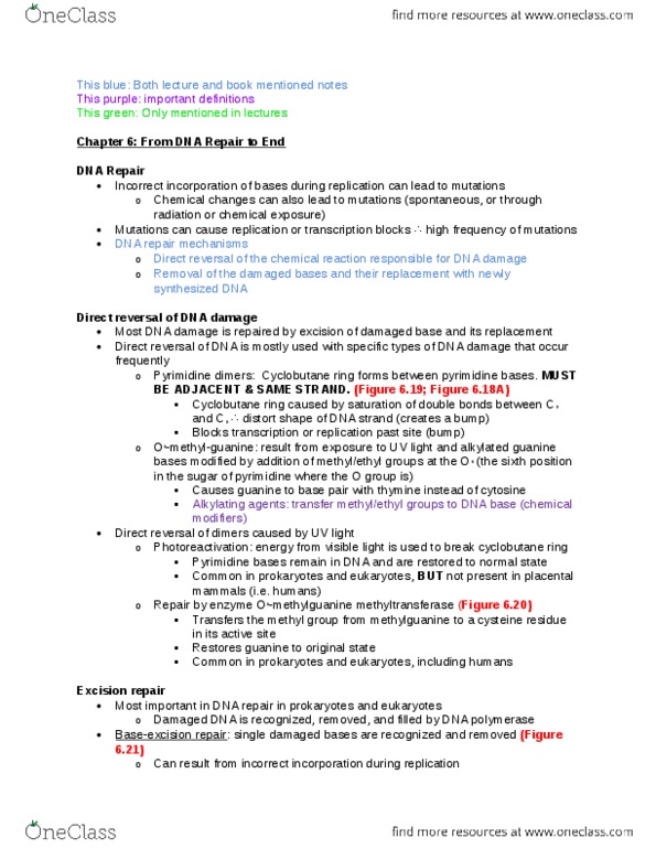 Juniper JN0-213 Online Praxisprüfung - JN0-213 Originale Fragen