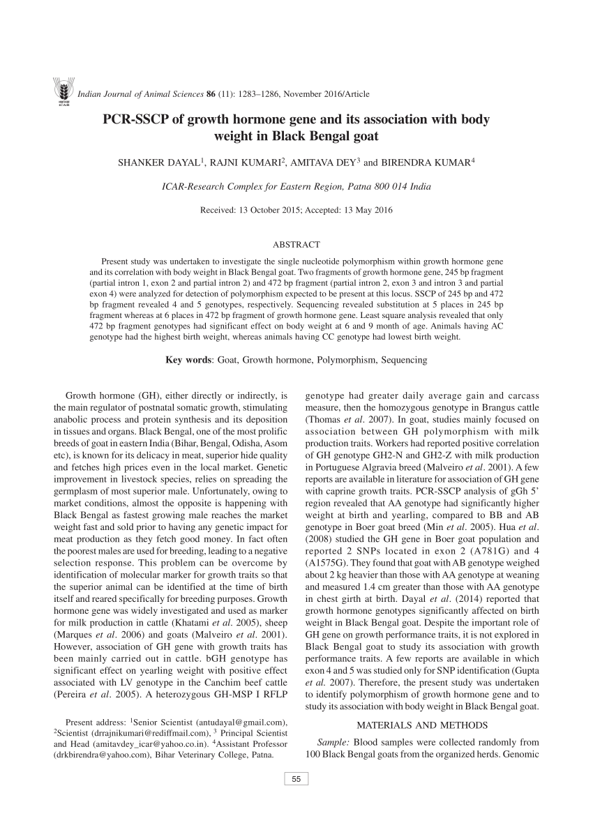 ISC SSCP Examsfragen - SSCP PDF Demo, SSCP Testengine