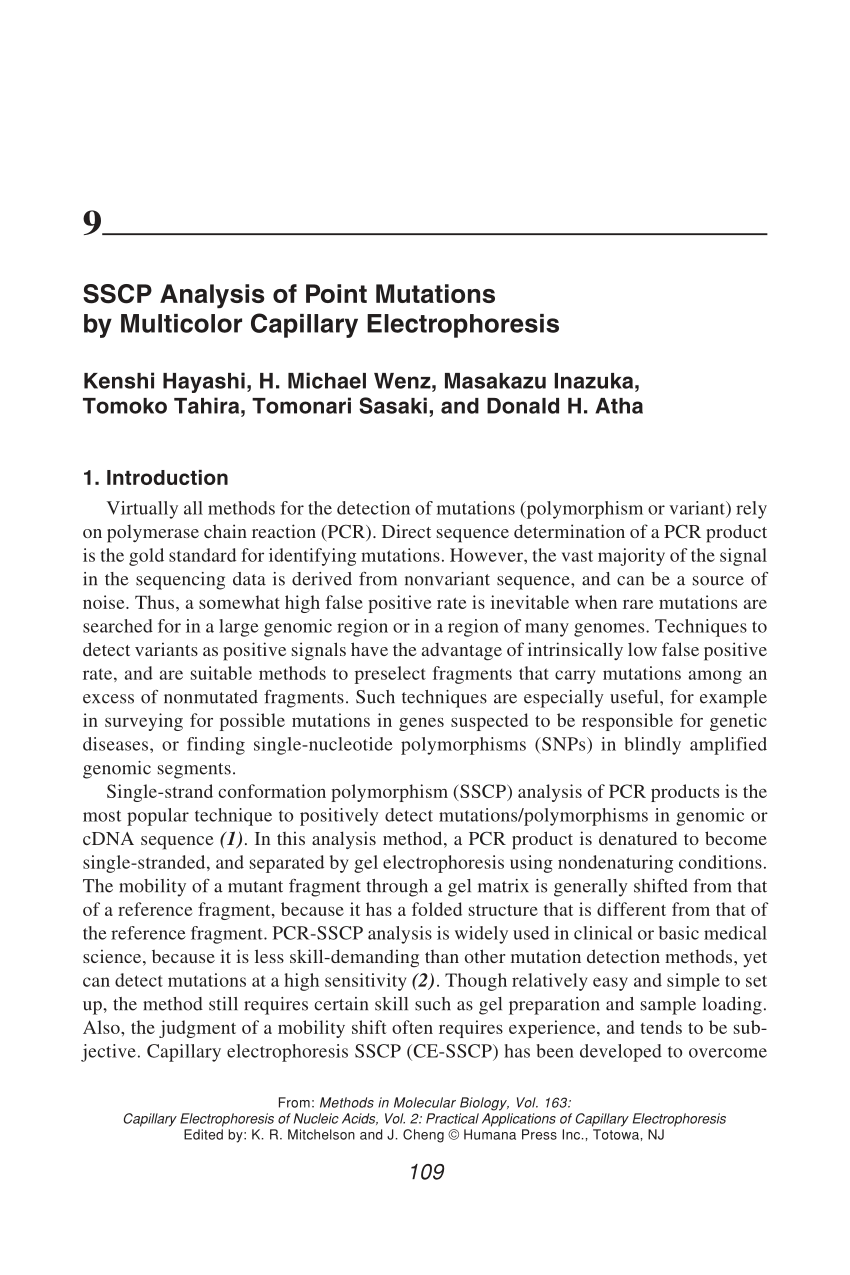 SSCP Vorbereitung, SSCP Prüfungen & SSCP Prüfungsübungen