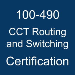 Cisco 100-490 Fragen Beantworten - 100-490 Testing Engine