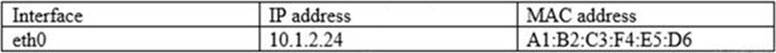 N10-008 Online Tests & CompTIA N10-008 Testing Engine - N10-008 Prüfungsübungen