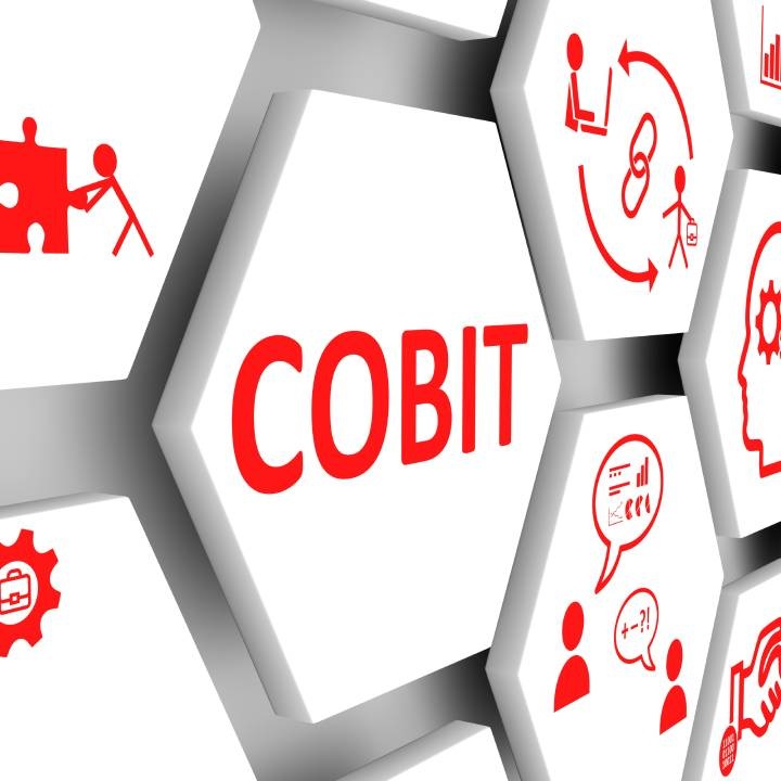 COBIT-2019 Testantworten - COBIT-2019 Online Prüfungen, COBIT-2019 Testantworten