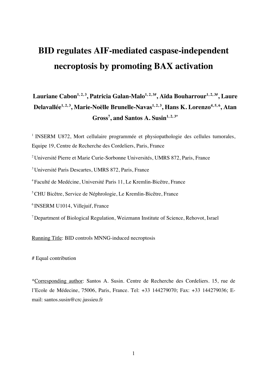 AIF Prüfungsvorbereitung, AIF Lernhilfe & AIF Vorbereitung