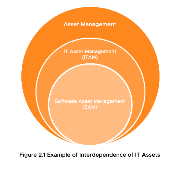 CIS-HAM Deutsche, CIS-HAM Prüfungsinformationen & Certified Implementation Specialist - Hardware Asset Management Deutsche Prüfungsfragen