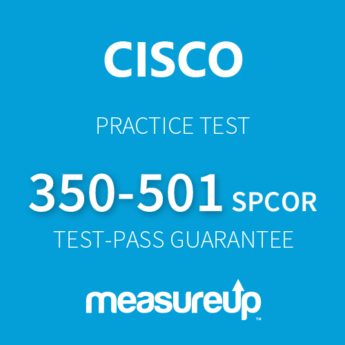 2024 350-501 Prüfungsinformationen - 350-501 Fragen&Antworten, Implementing and Operating Cisco Service Provider Network Core Technologies Exam Fragen