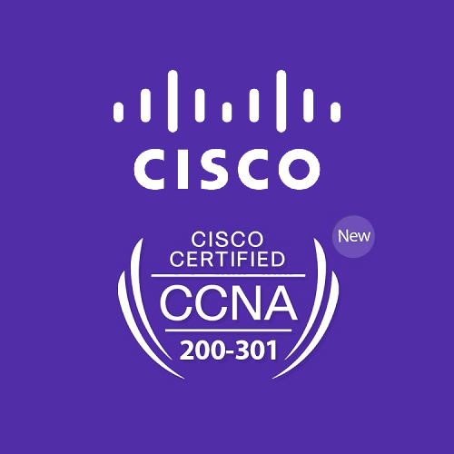 200-301 Examsfragen - Cisco 200-301 PDF Demo, 200-301 Zertifizierung