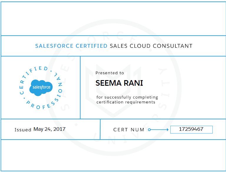 Revenue-Cloud-Consultant Lernhilfe & Salesforce Revenue-Cloud-Consultant Demotesten - Revenue-Cloud-Consultant Testfagen