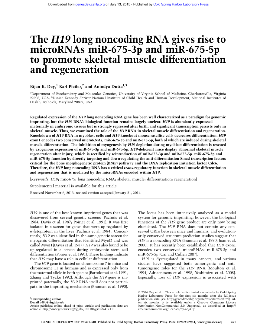 H19-315 Prüfungs Guide - H19-315 Prüfungs-Guide, H19-315 Prüfungsunterlagen