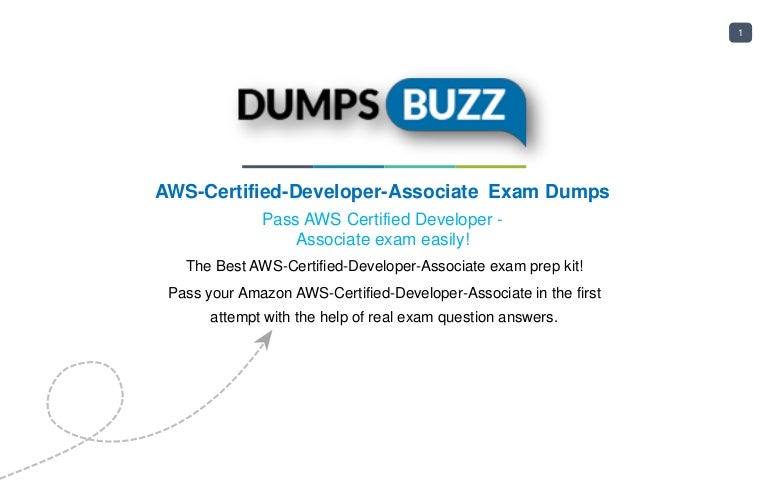AWS-Certified-Developer-Associate-KR Dumps Deutsch, Amazon AWS-Certified-Developer-Associate-KR Online Praxisprüfung