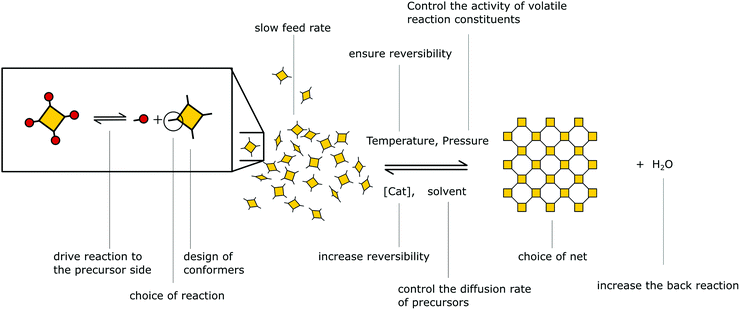 COF-C02 Exam Fragen & COF-C02 Testantworten - COF-C02 Prüfungsaufgaben