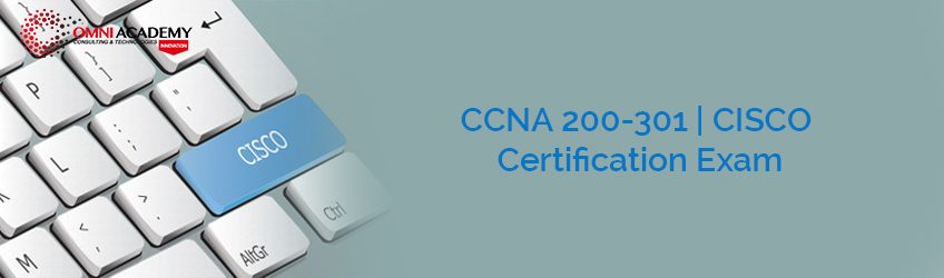 200-301 Deutsche & 200-301 Online Prüfung - Cisco Certified Network Associate Exam PDF Testsoftware