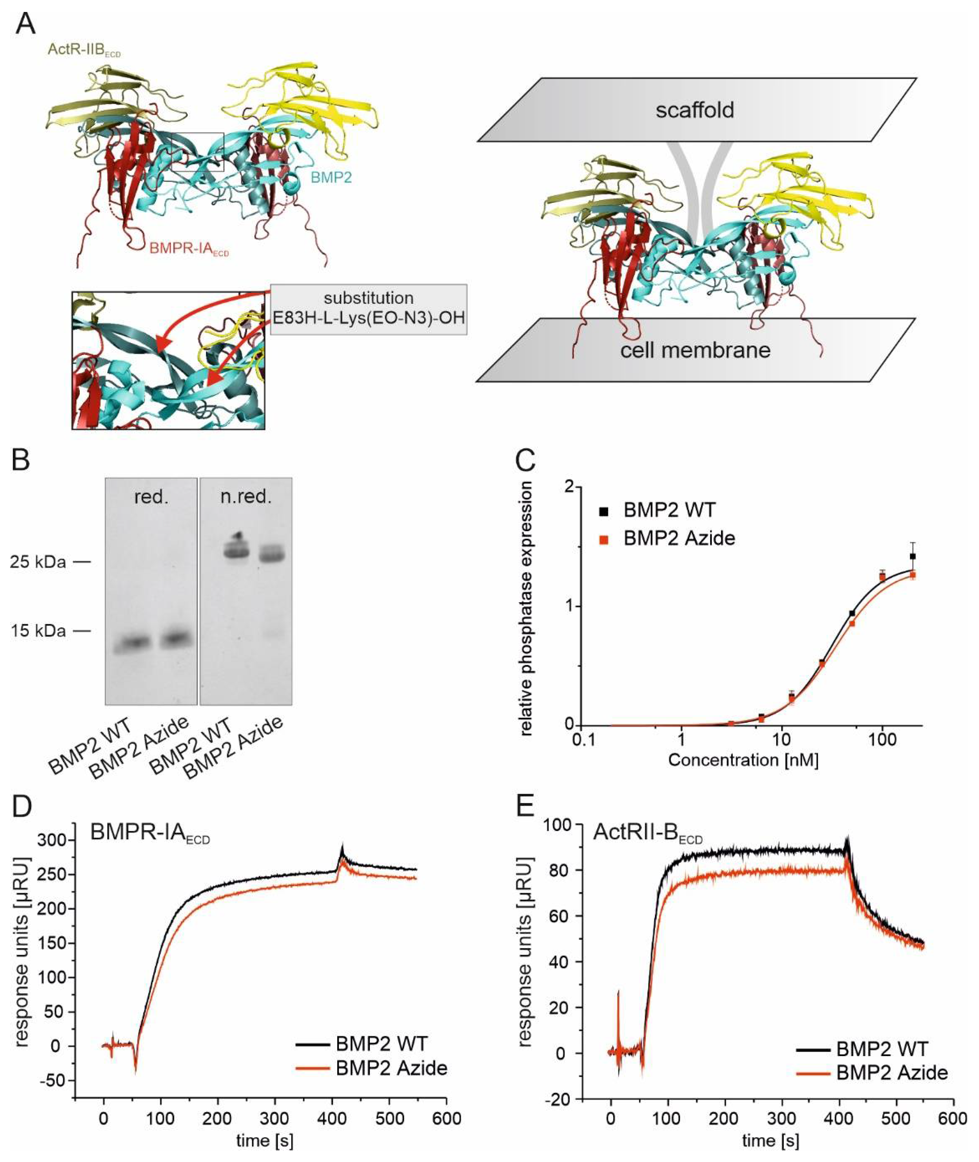 D-MN-OE-23 Praxisprüfung - D-MN-OE-23 Antworten, D-MN-OE-23 Prüfungs