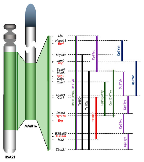 D-DP-DS-23 PDF & D-DP-DS-23 Prüfungs-Guide - D-DP-DS-23 Testking