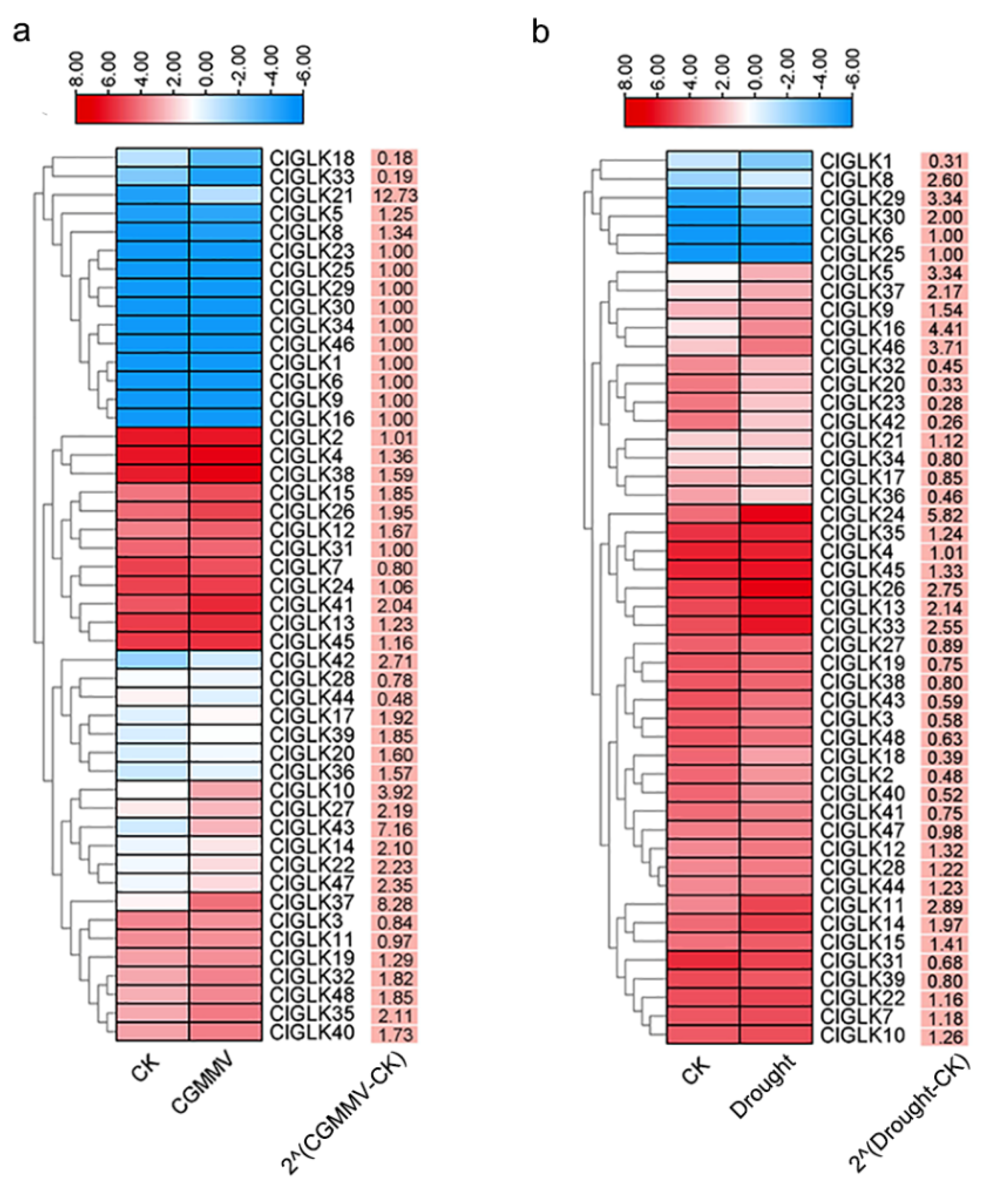 2016-FRR PDF Testsoftware, 2016-FRR Prüfungsinformationen & 2016-FRR Fragen Beantworten