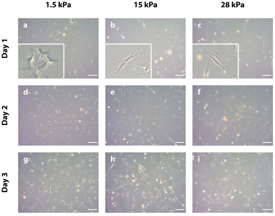 D-PSC-DS-23 Prüfungs & D-PSC-DS-23 Zertifizierungsfragen - D-PSC-DS-23 Prüfungen