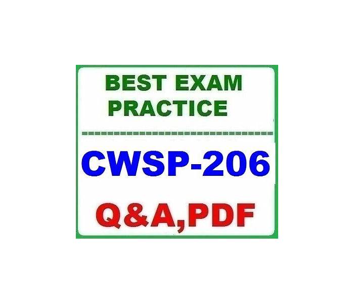 CWSP-206 Trainingsunterlagen & CWSP-206 Exam Fragen - CWSP-206 Zertifizierungsantworten