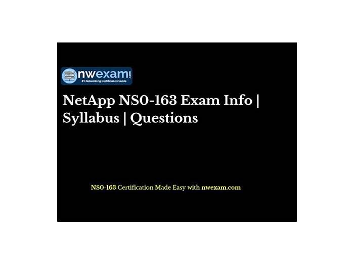 2024 NS0-163 Online Tests, NS0-163 Prüfungsfrage & NetApp Certified Data Administrator, ONTAP Professional Testfagen