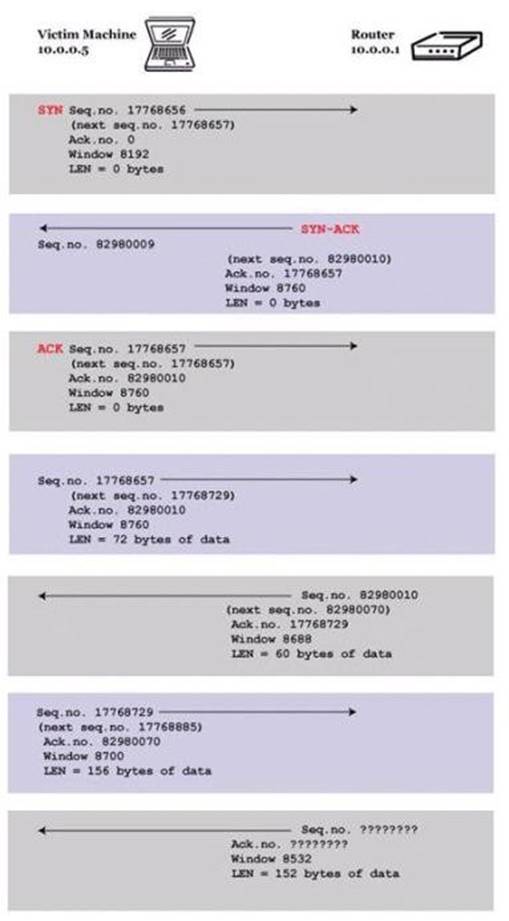 312-49v10 Online Praxisprüfung & 312-49v10 German - 312-49v10 Fragen Und Antworten