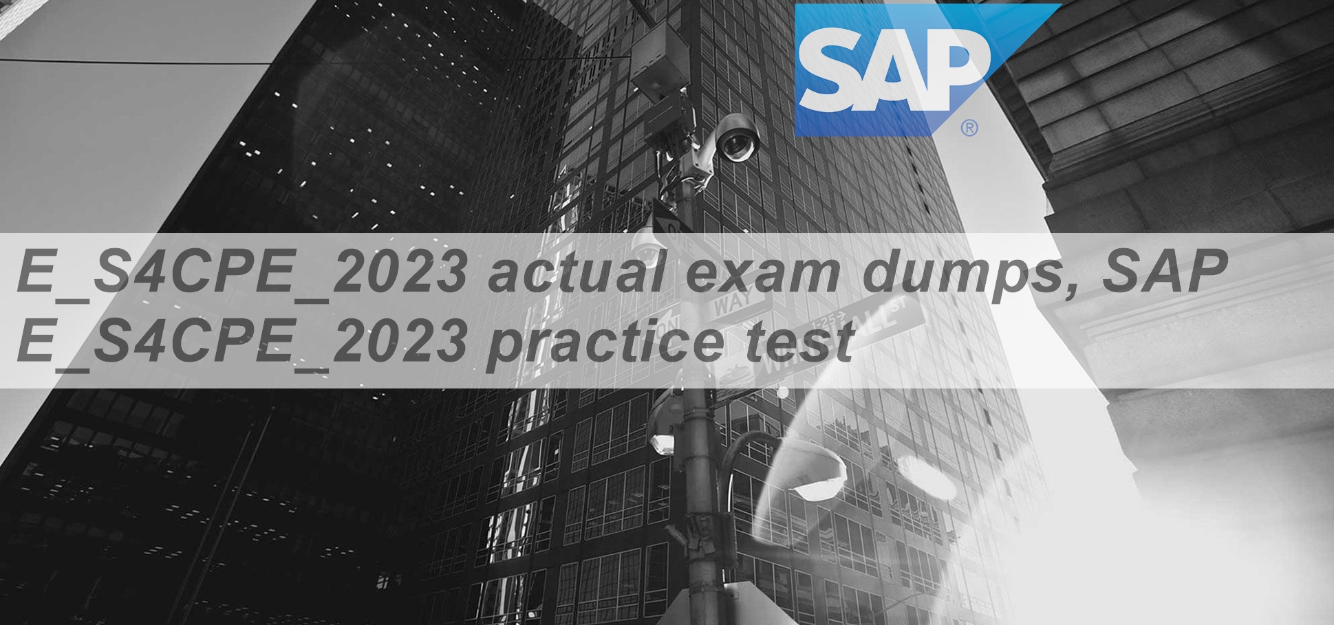 E-S4CPE-2023 Fragenpool - E-S4CPE-2023 Online Tests, E-S4CPE-2023 Quizfragen Und Antworten