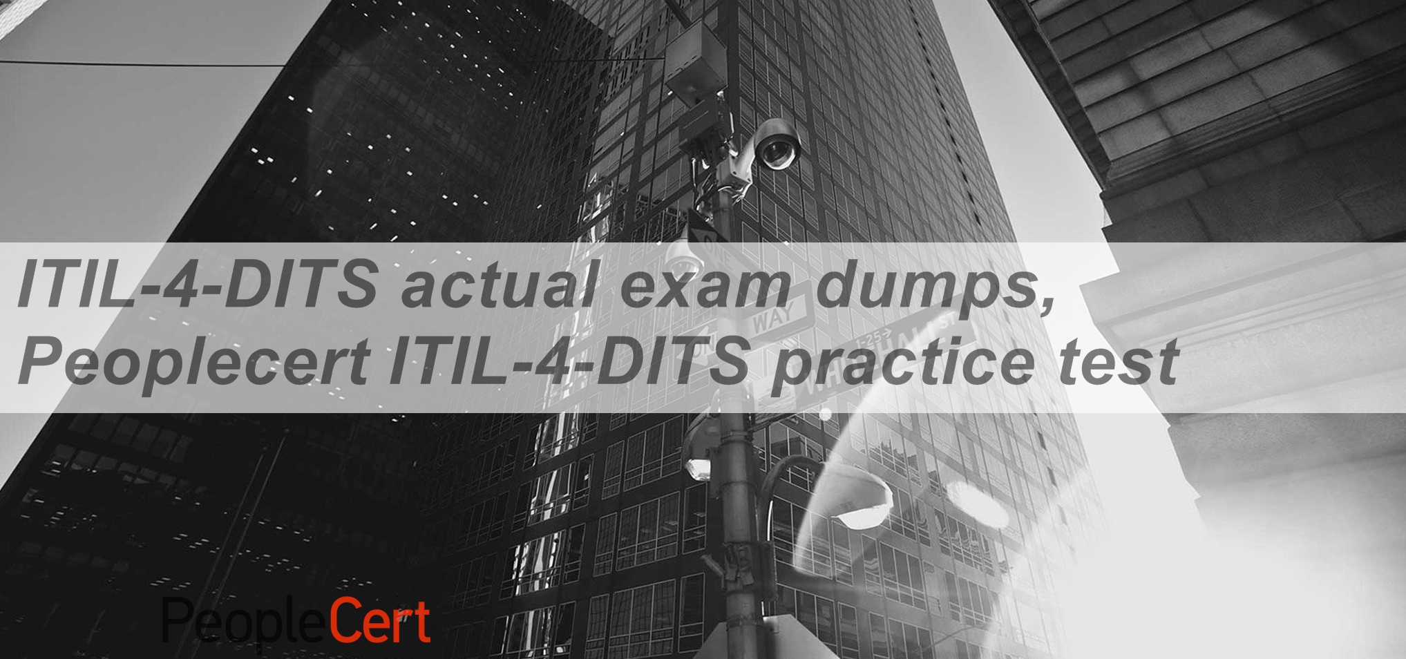 ITIL-4-DITS Testking - ITIL-4-DITS Dumps, ITIL-4-DITS Simulationsfragen