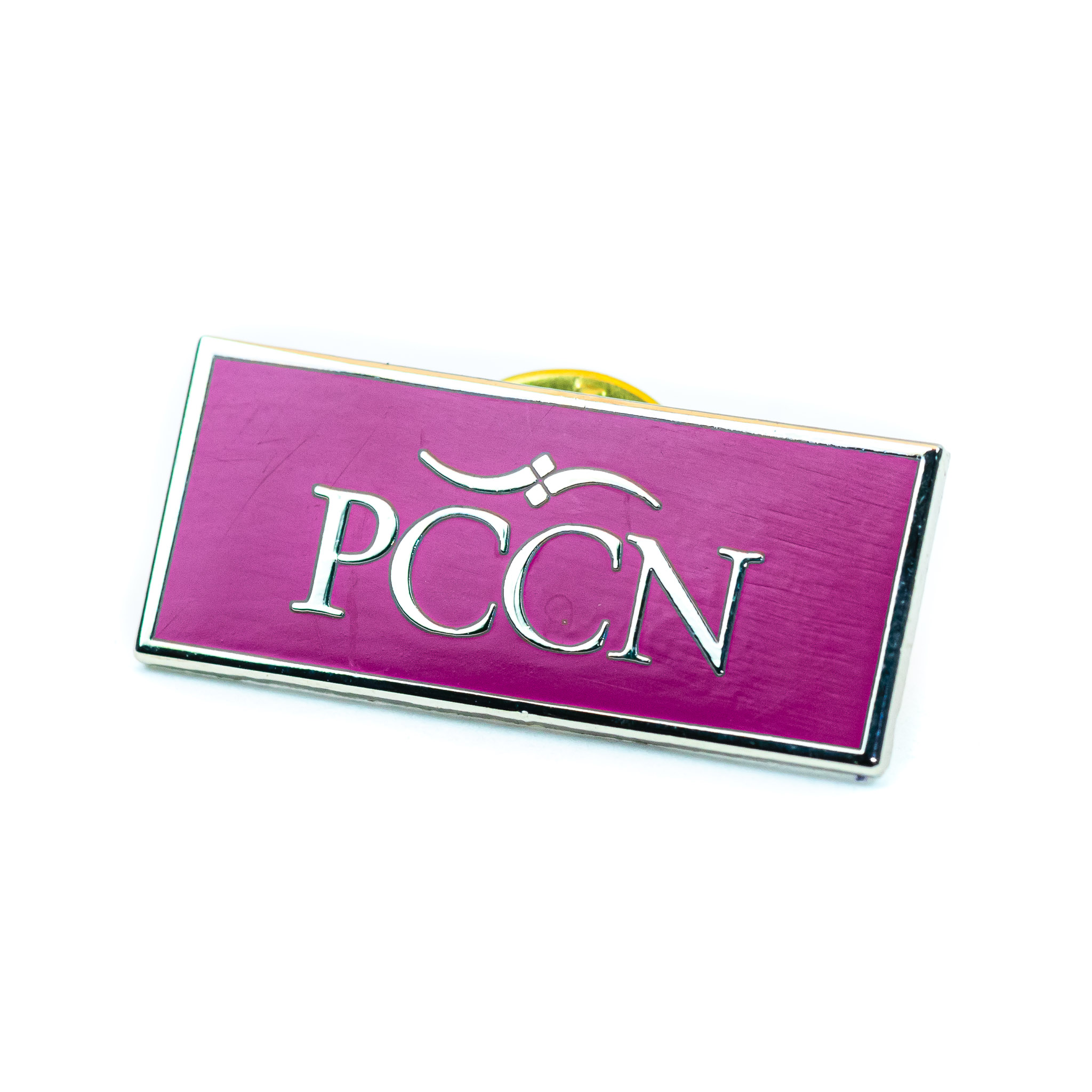 PCCN Lernhilfe & PCCN Exam Fragen - PCCN Buch