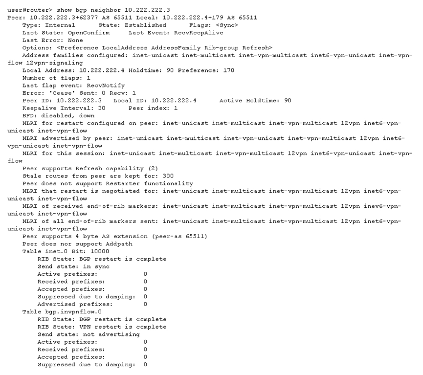 JN0-636 Exam Fragen & Juniper JN0-636 Schulungsunterlagen