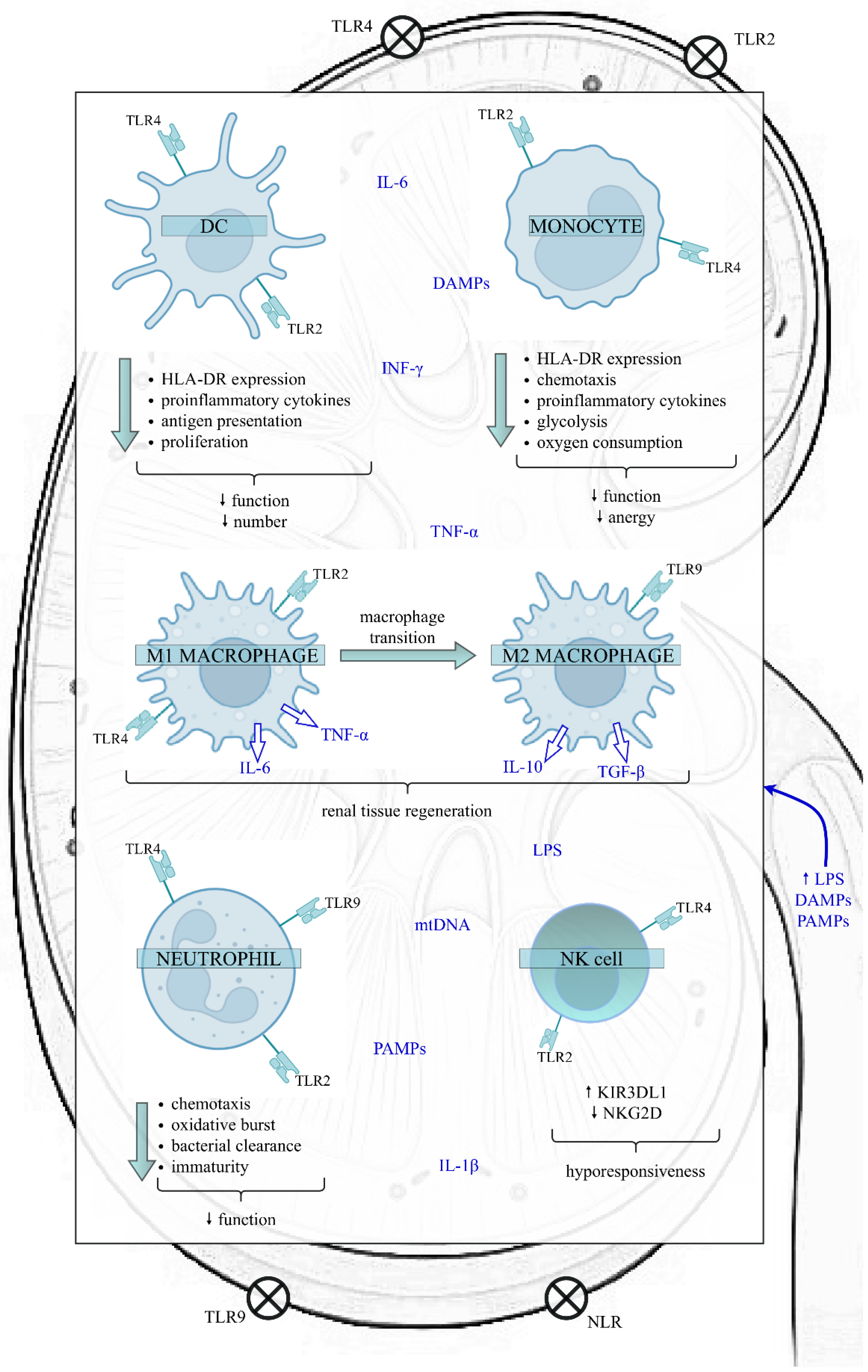 D-CSF-SC-23 Prüfungsinformationen, EMC D-CSF-SC-23 Online Test