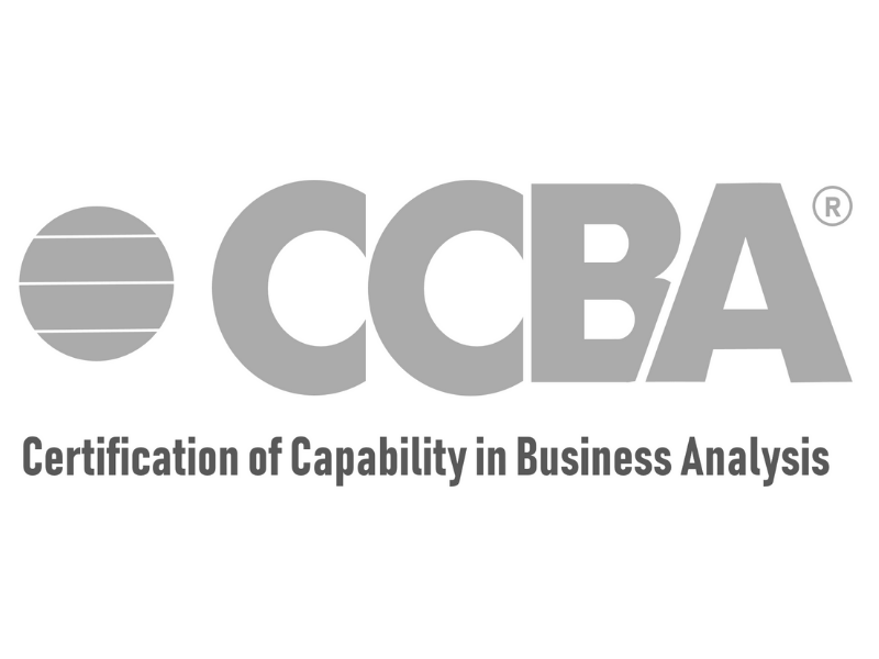 CCBA Lerntipps & CCBA Zertifizierungsantworten - CCBA Prüfungs