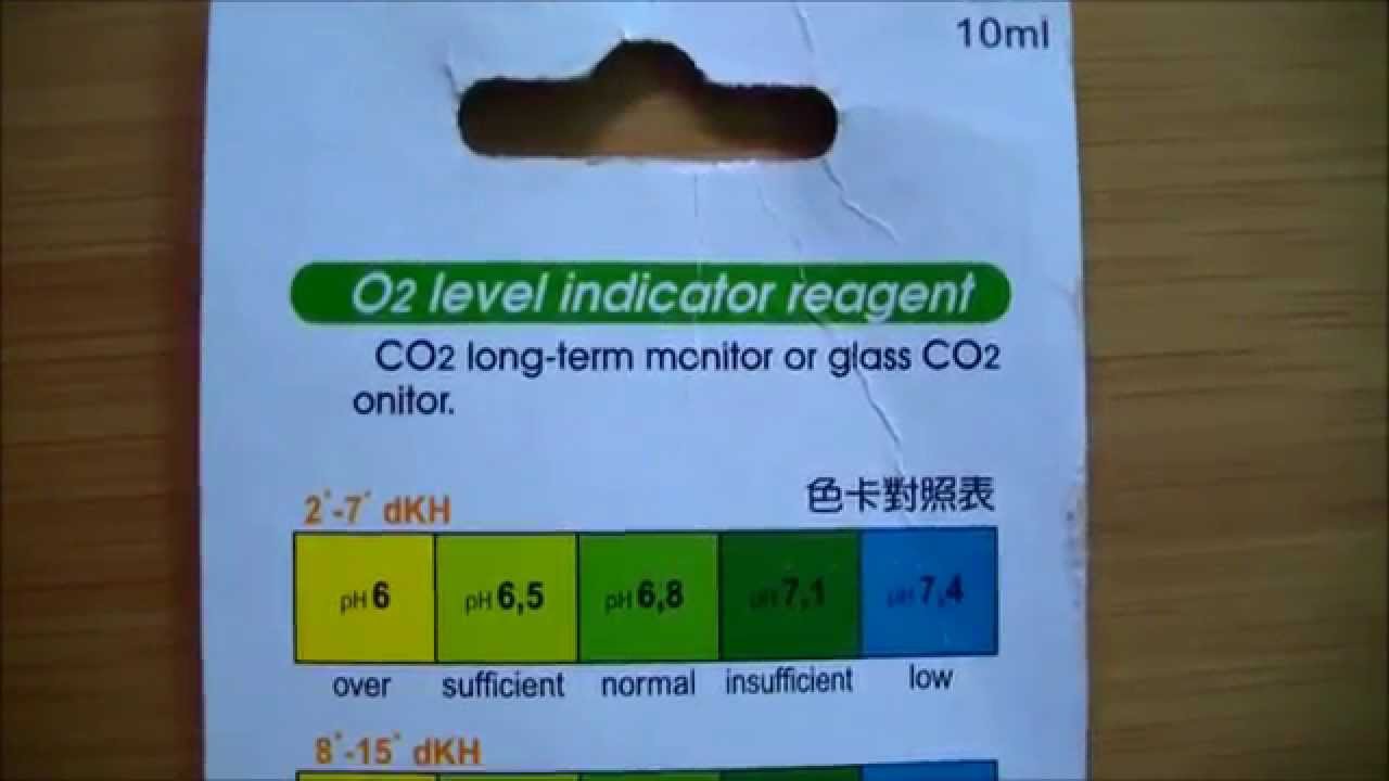 COF-C02 Prüfungs, COF-C02 Prüfungen & COF-C02 Prüfungsfrage