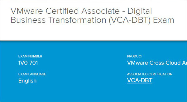 1V0-41.20 Testantworten - 1V0-41.20 Testking, Associate VMware Network Virtualization Dumps