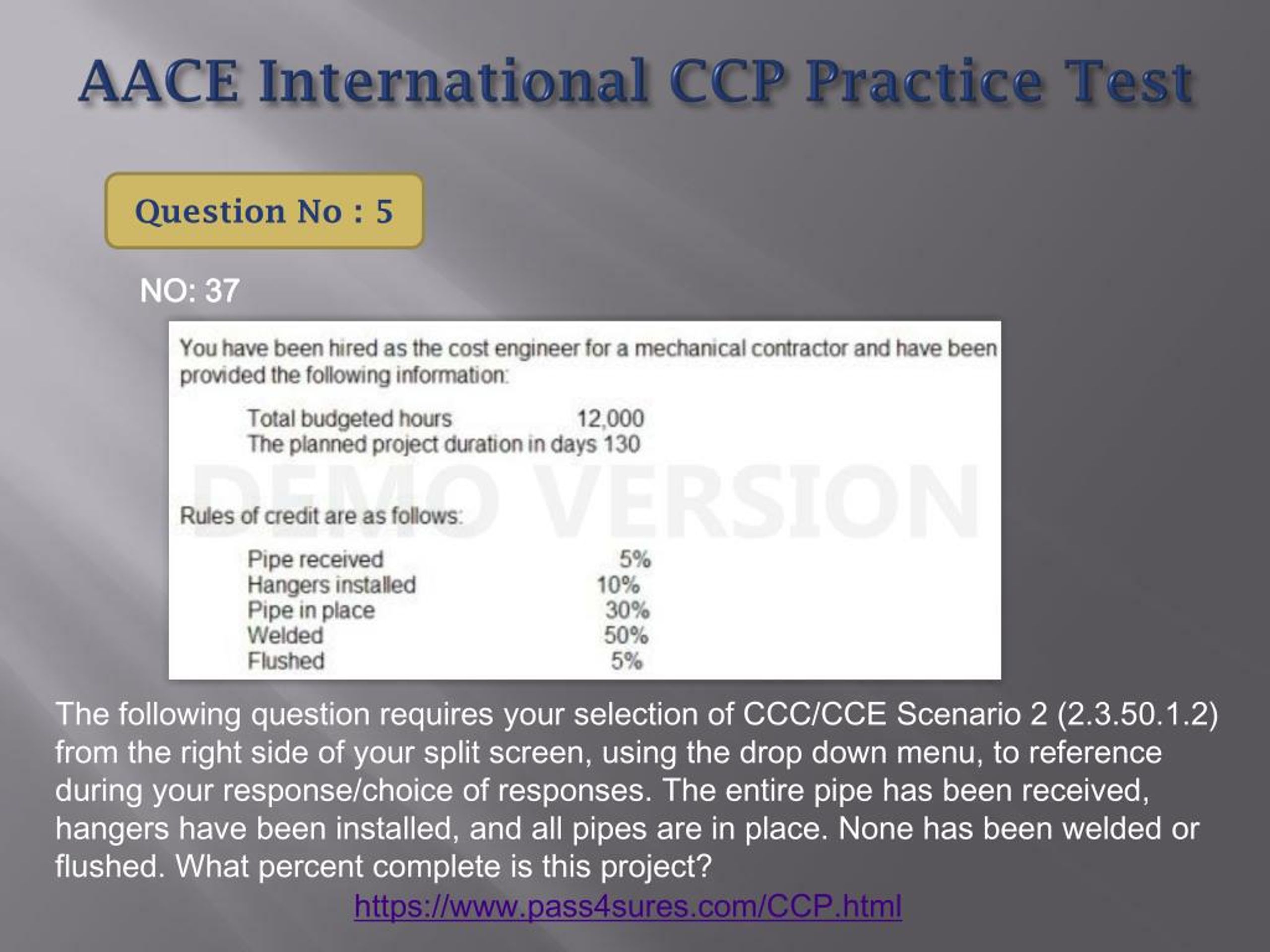 2024 CCP Online Test, CCP Zertifizierungsprüfung & Certified Cost Professional (CCP) Exam Testengine