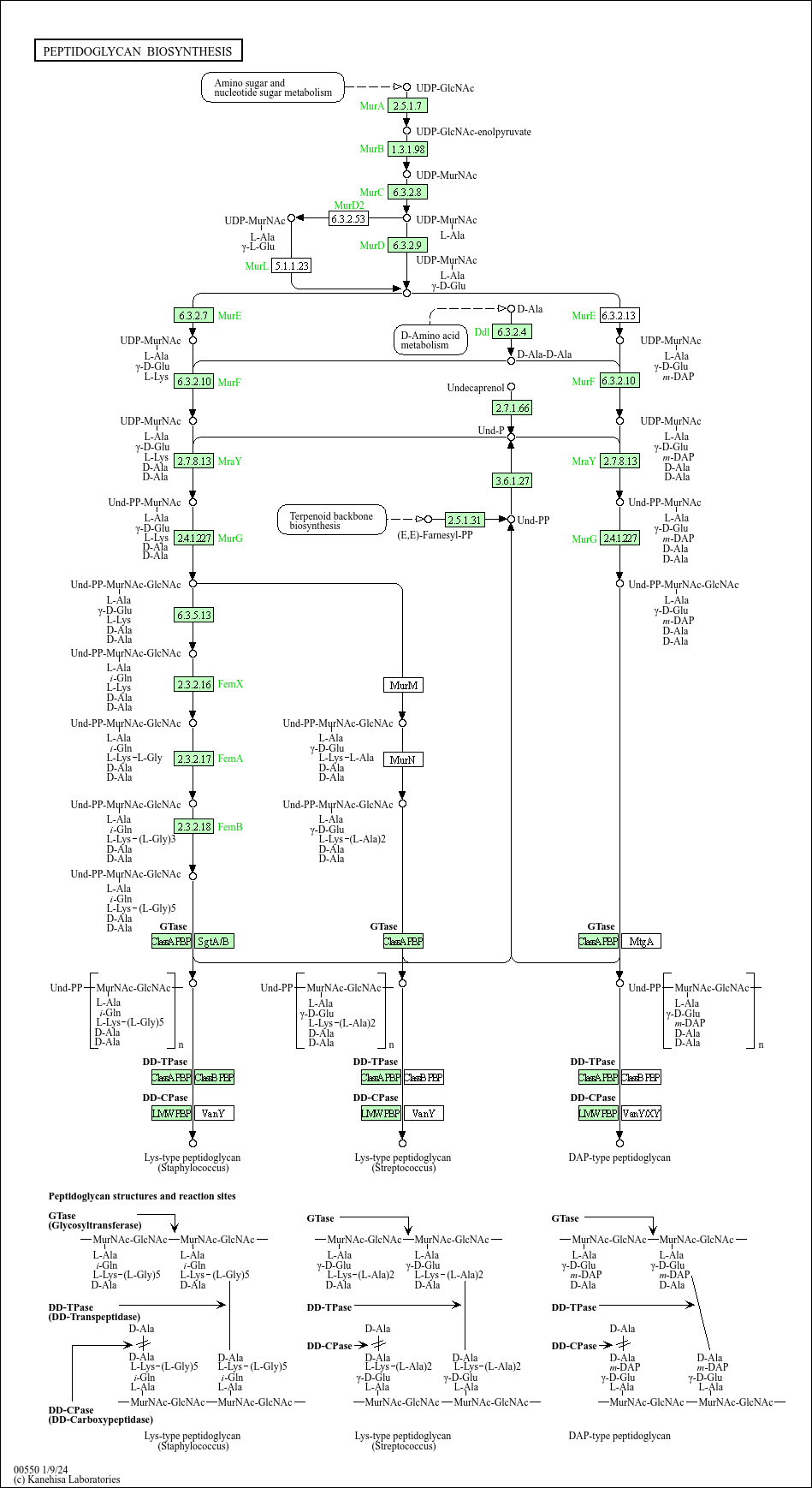 C1000-005 Prüfung - C1000-005 Zertifikatsfragen, C1000-005 Prüfungsaufgaben